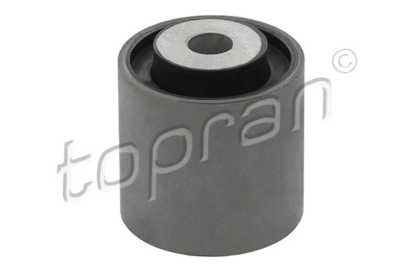 Mounting, control/trailing arm (401 684)