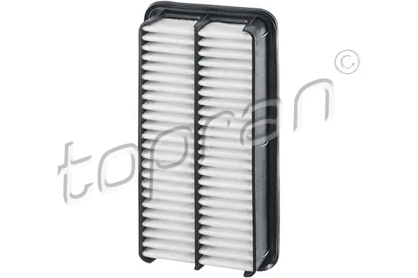 Air Filter (820 109)
