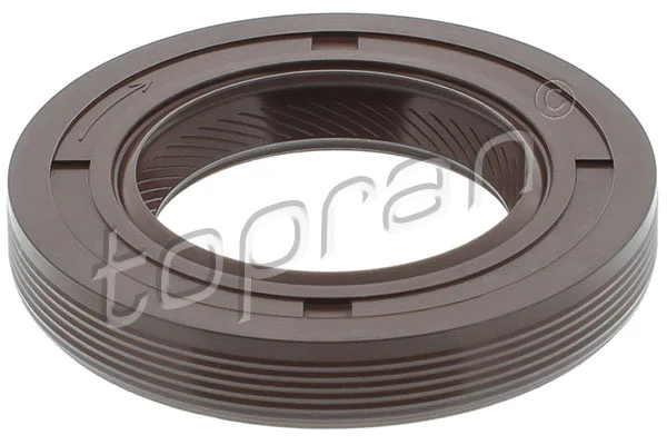 Shaft Seal, camshaft (700 208)