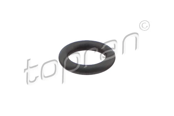 Seal Ring, injector (114 549)