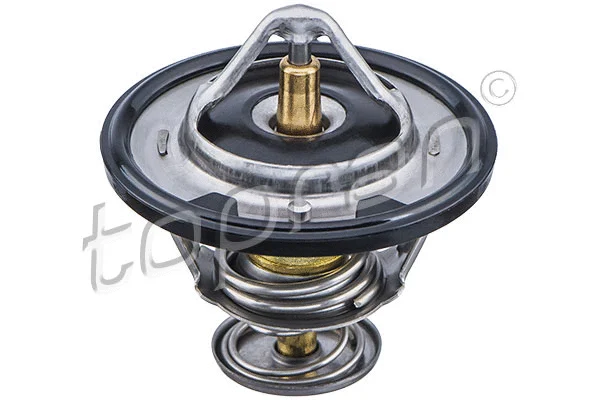 Thermostat, coolant (820 353)