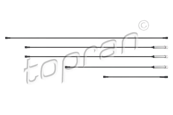 Ignition Cable Kit (202 512)