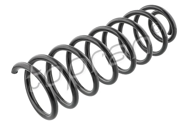 Suspension Spring (102 825)