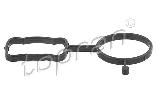 Gasket, thermostat housing (117 897)