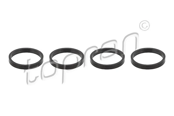 Gasket Set, intake manifold (110 500)