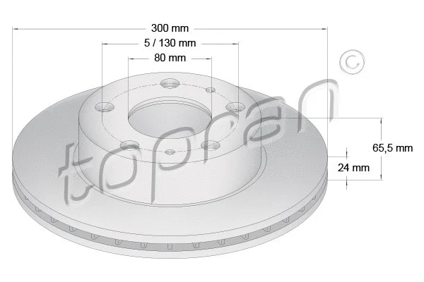 Brake Disc (721 169)