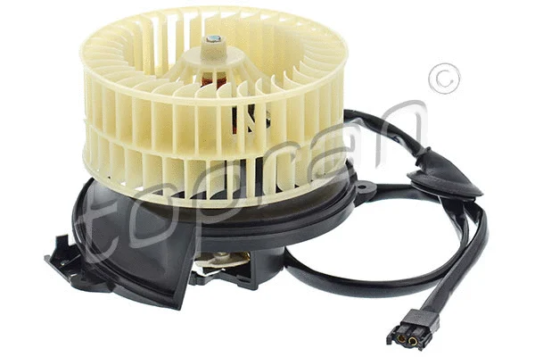 Interior Blower (401 541)