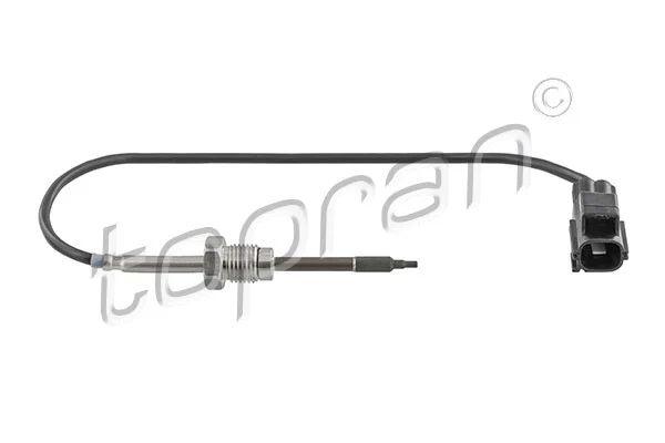 Sensor, exhaust gas temperature (638 572)