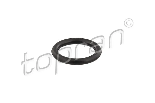 Gasket, intake manifold (302 761)