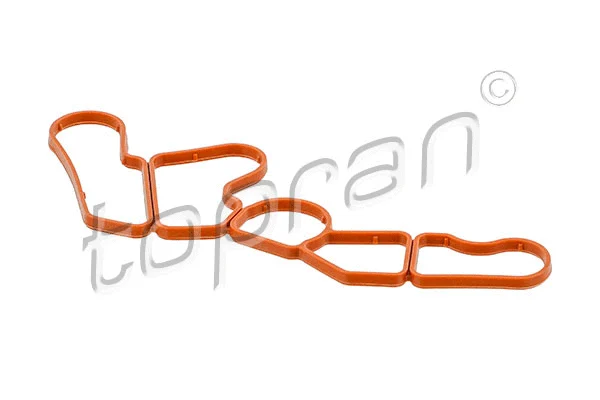 Gasket, timing case (409 738)