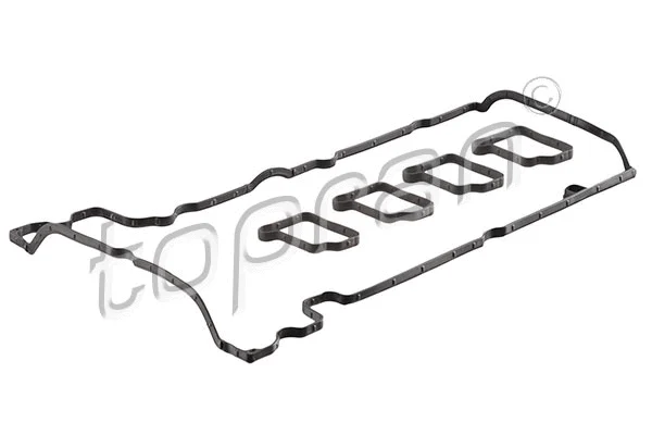 Gasket Set, cylinder head cover (407 914)