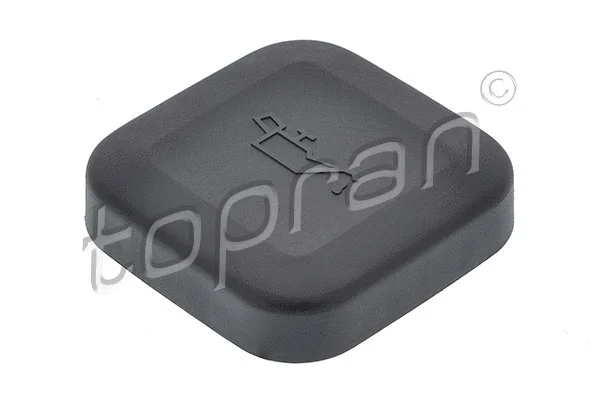 Sealing Cap, oil filler neck (500 345)