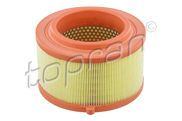 Air Filter (305 182)