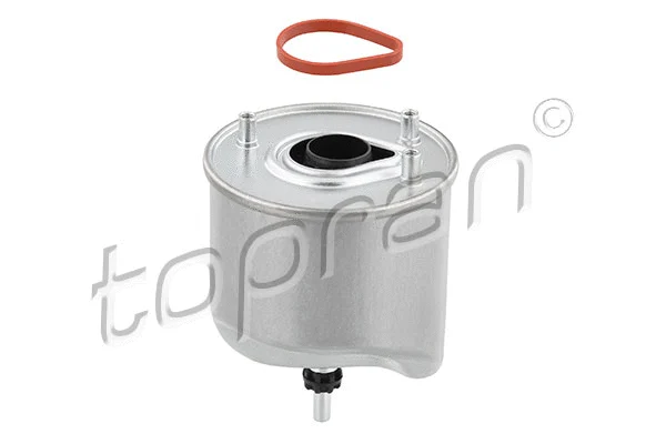 Fuel Filter (723 886)