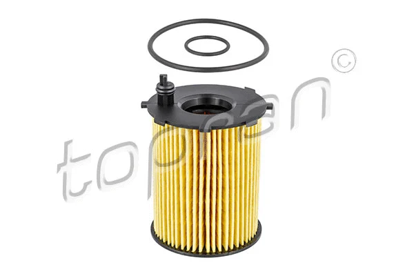 Oil Filter (723 763)