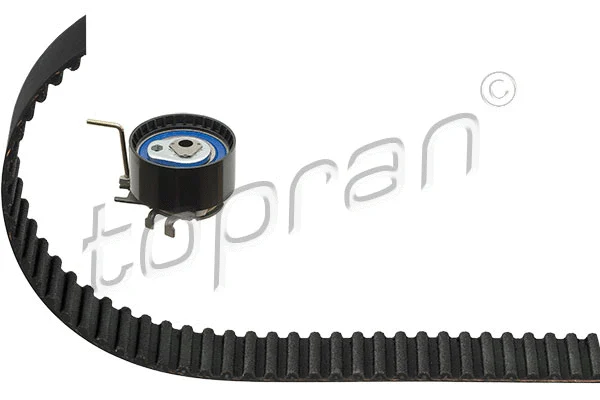 Timing Belt Kit (701 015)