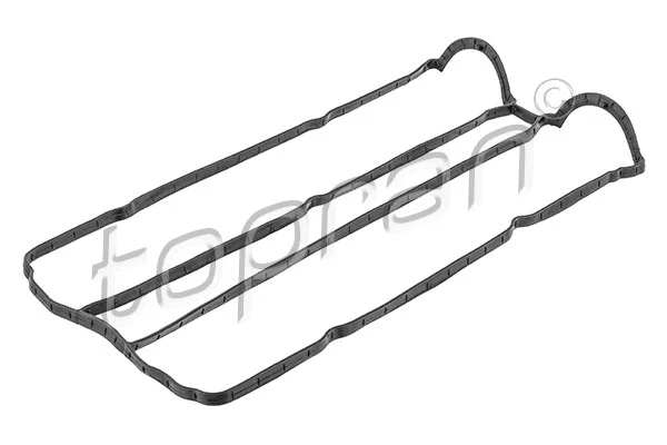 Gasket, cylinder head cover (301 878)