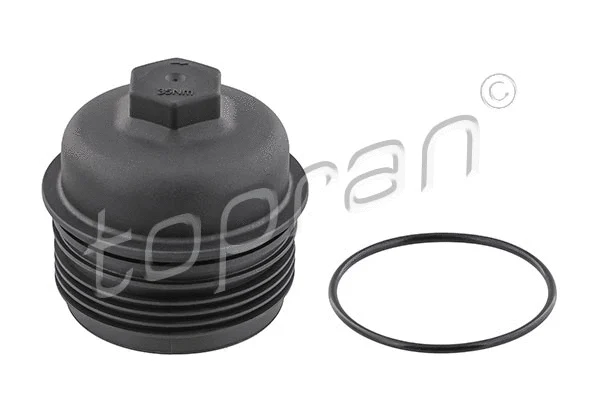 Cap, oil filter housing (119 099)
