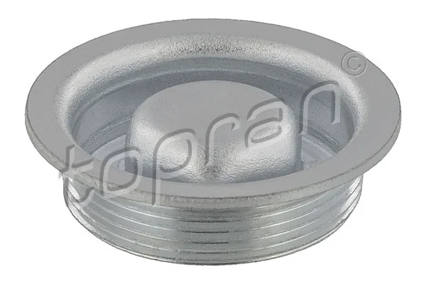 Screw Plug (408 844)