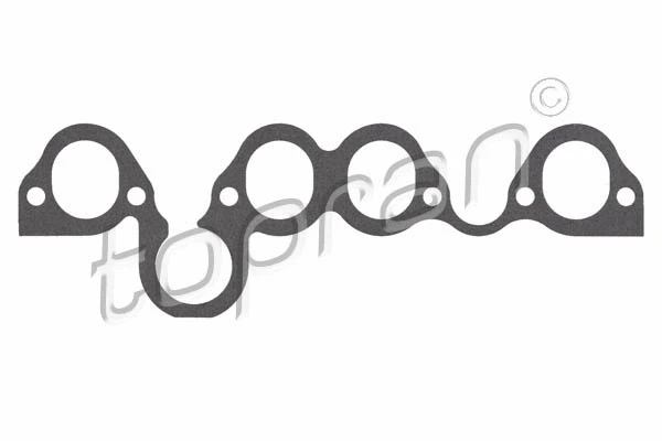Gasket, intake manifold (100 223)