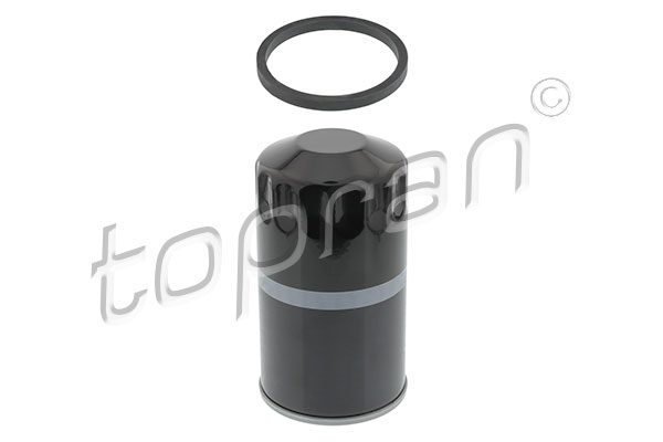 Oil Filter (100 313)
