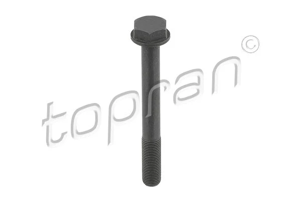 Bolt, camshaft gear (503 630)