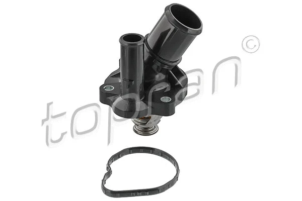 Thermostat, coolant (304 520)