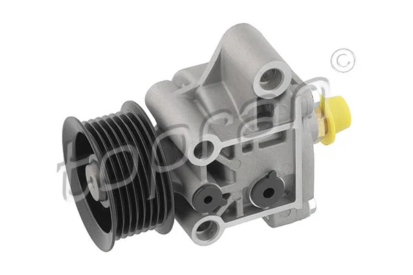Vacuum Pump, braking system (304 136)