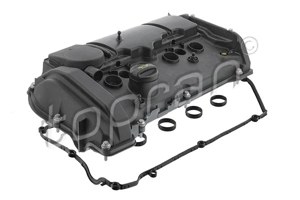 Cylinder Head Cover (503 393)