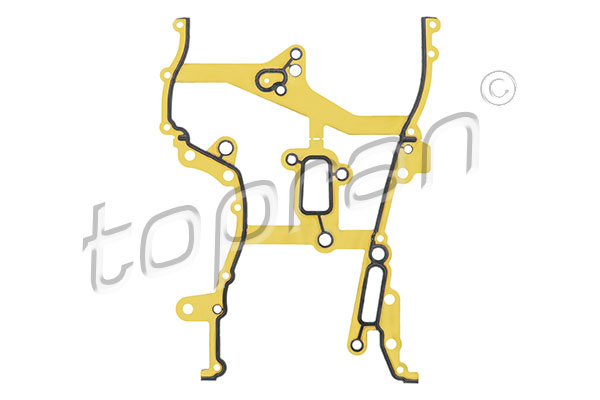 Gasket, timing case (208 553)