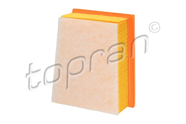 Air Filter (701 858)