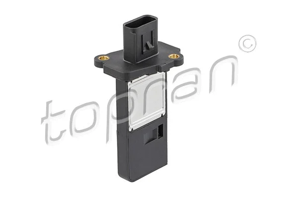 Mass Air Flow Sensor (305 187)