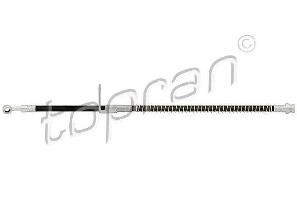 Brake Hose (820 800)