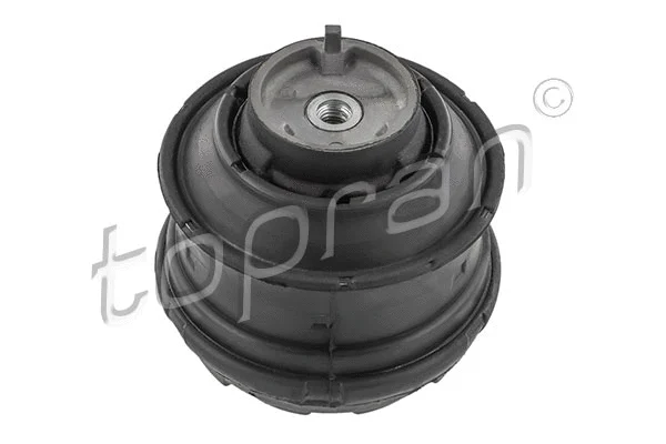 Mounting, engine (401 264)