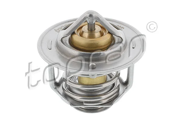 Thermostat, coolant (207 822)