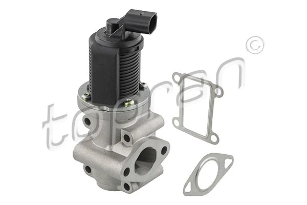 EGR Valve (207 441)