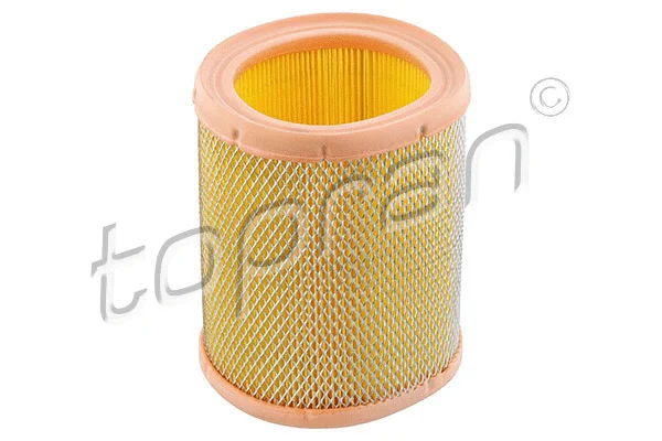 Air Filter (720 954)