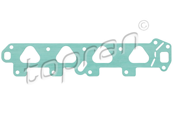 Gasket, intake manifold (205 642)