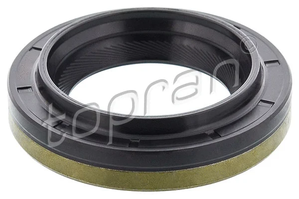Shaft Seal, differential (408 517)