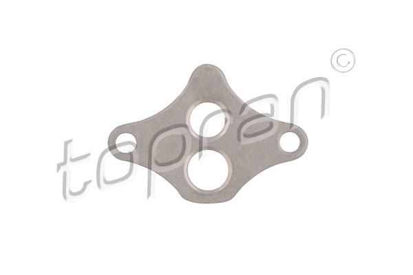 Gasket, EGR valve (206 614)