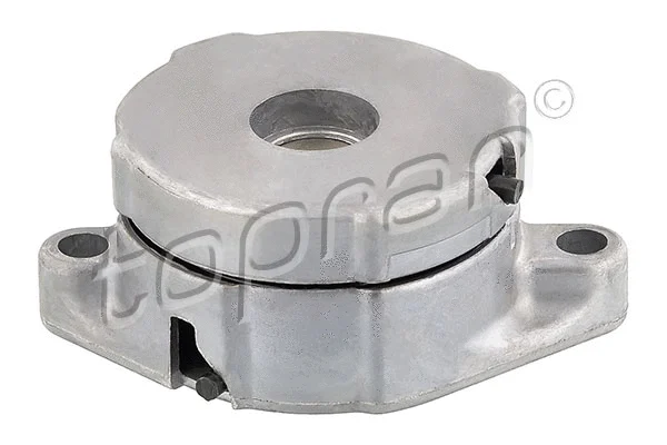Belt Tensioner, V-ribbed belt (108 418)