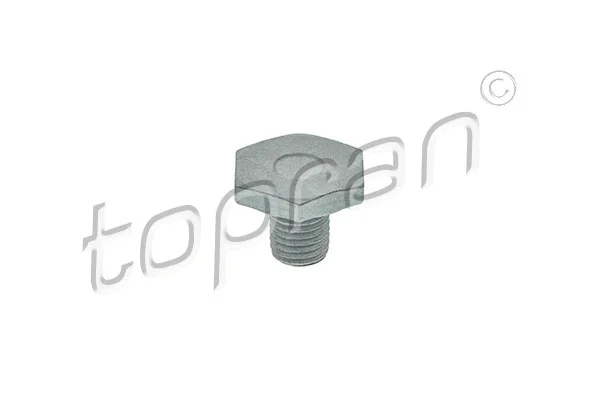 Screw Plug, oil sump (720 304)