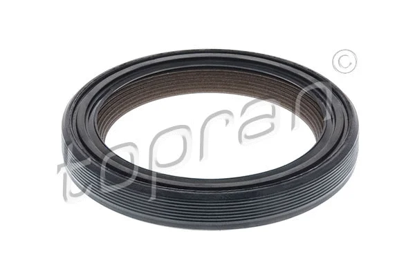 Shaft Seal, camshaft (722 335)