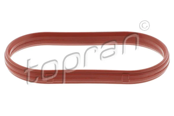 Gasket, intake manifold (500 825)