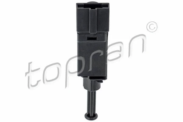 Switch, clutch control (cruise control) (110 170)
