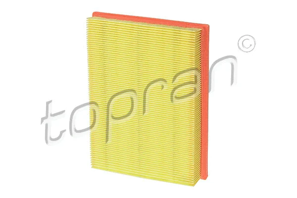 Air Filter (201 652)