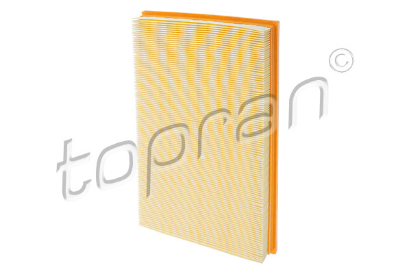 Air Filter (201 662)