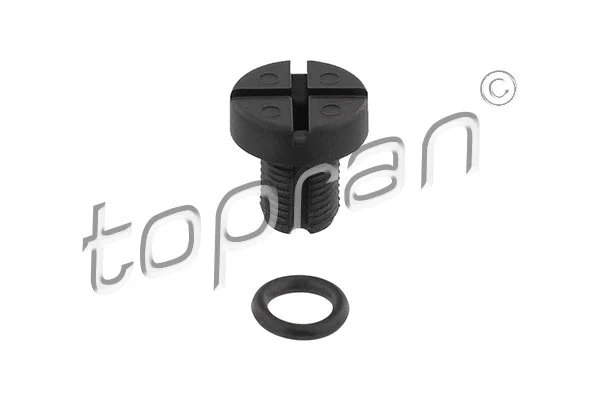 Breather Screw/Valve, radiator (502 597)