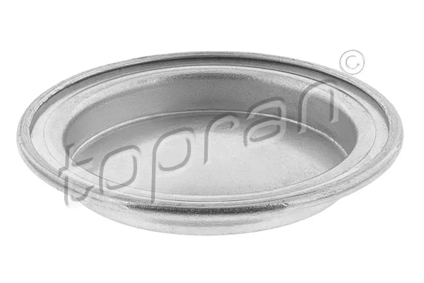 Frost Plug (601 617)