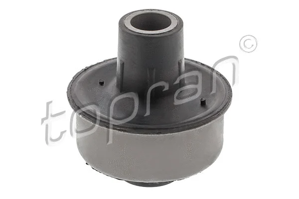 Mounting, control/trailing arm (200 498)